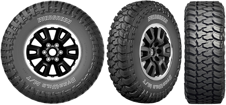 Evergreen-ES91-Dynawild-1