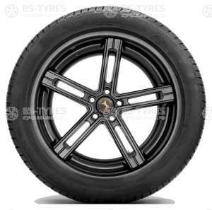 Continental ContiWinterContact TS830P 295/40 R19 108V