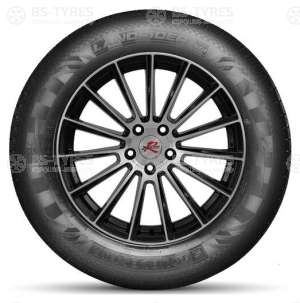 Doublestar DS01 215/60 R17 100H