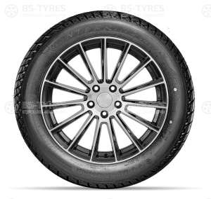 Doublestar DW01 215/55 R17 94T