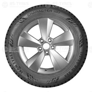 Ikon (Nokian Tyres) Character Ice 7 (Nordman 7) SUV 205/70 R15 100T