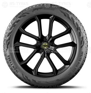 Ikon (Nokian Tyres) Autograph Snow 5 SUV 295/35 R21 107T