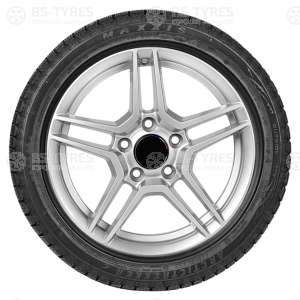 Maxxis SP-02 Arctic Trekker 255/40 R18 95T