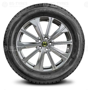 Roadx Frost WH12 265/55 R19 113T