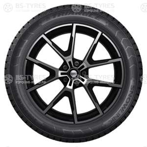 Triangle Snow PL01 225/70 R16 107R