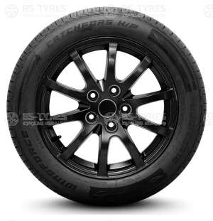 Windforce Catchfors HP 225/60 R16 98H